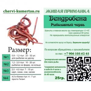 Бронирование Дендробены №1...№4