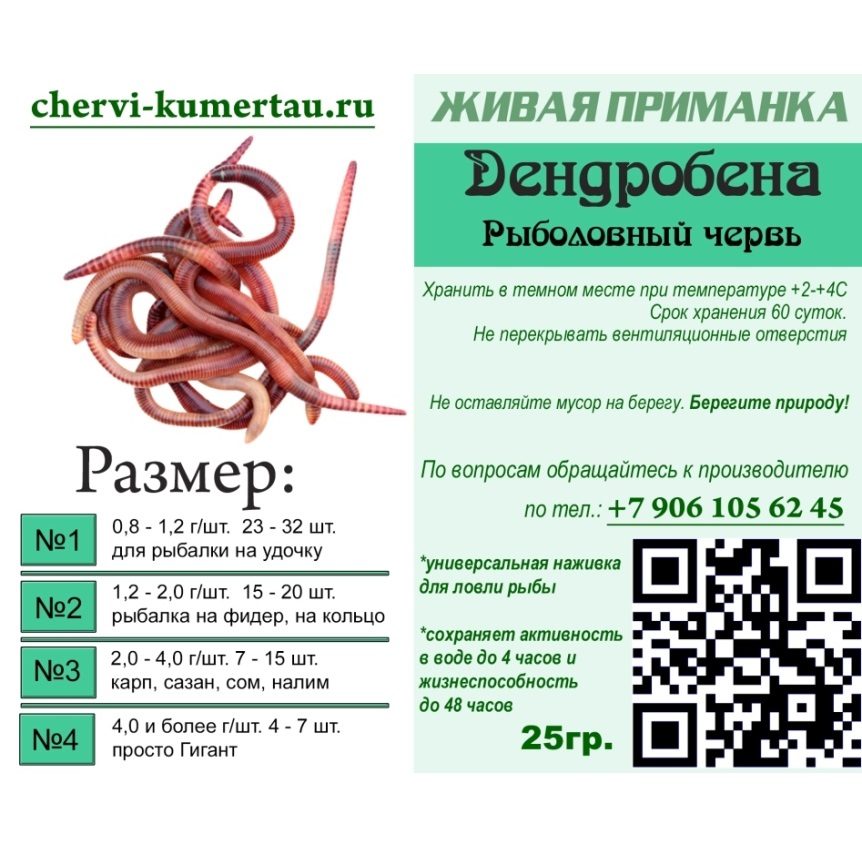Бронирование Дендробены №1...№4